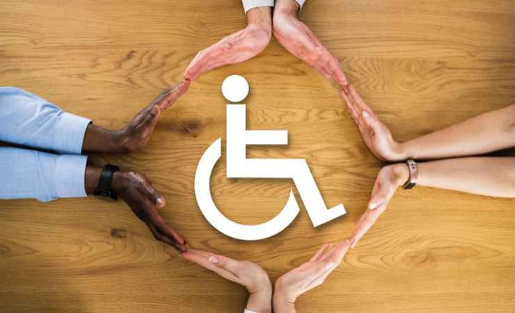 Il nuovo sistema annunciato dalla ministra alle Disabilità