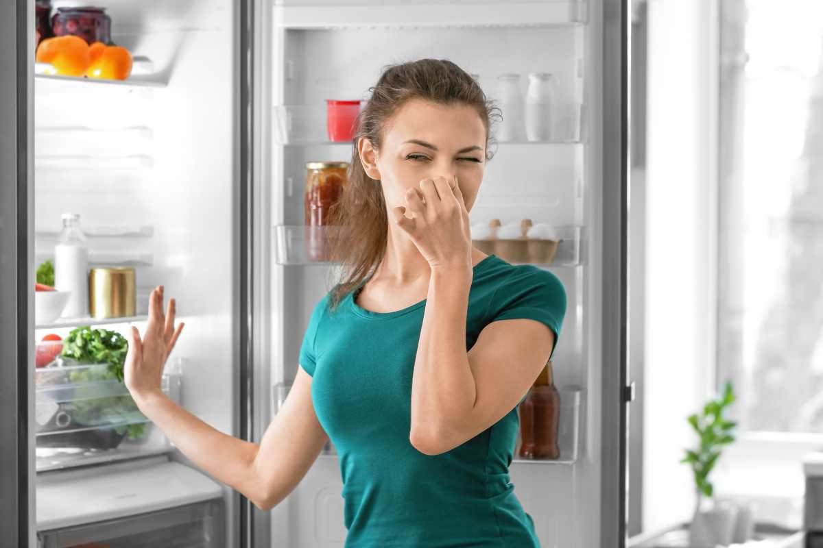 frigorifero maleodorante rimedio